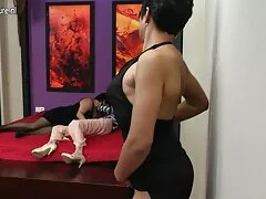 Perrito